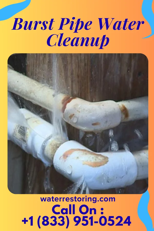 Burst Pipe Water Cleanup in Erda, UT