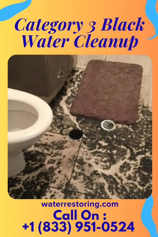Category 3 Black Water Cleanup in Erda, UT