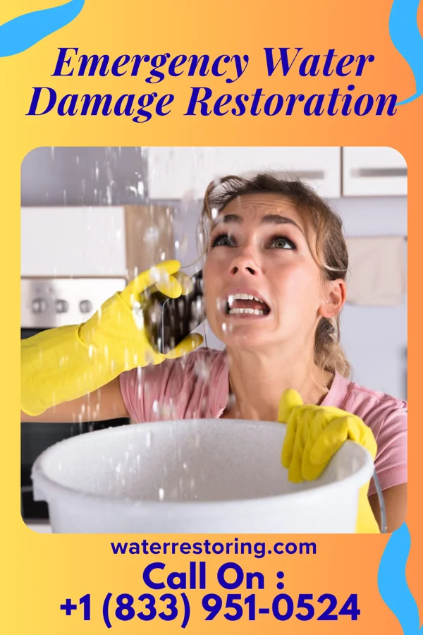 Emergency Water Damage Restoration in Erda, UT