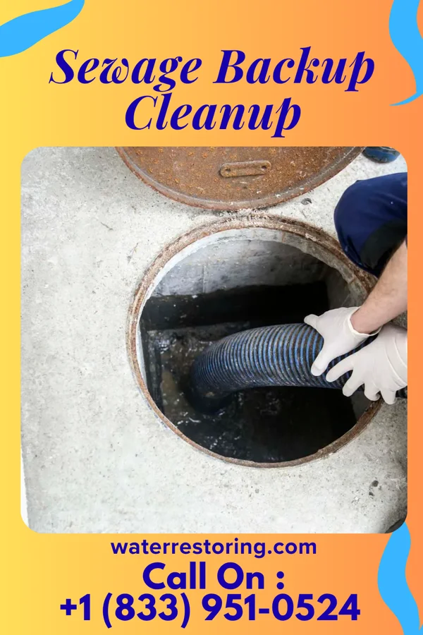 Sewage Backup Cleanup in Erda, UT